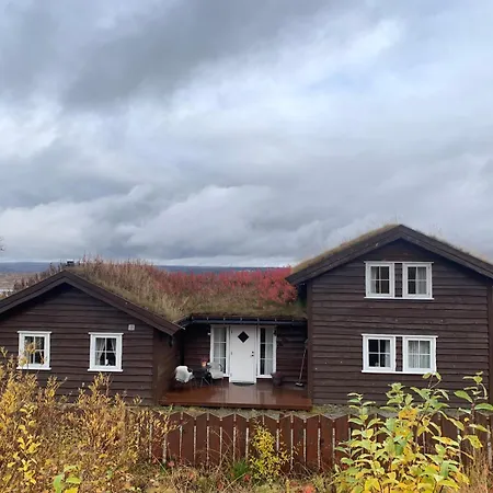 Tuftehytta Holiday home Gol